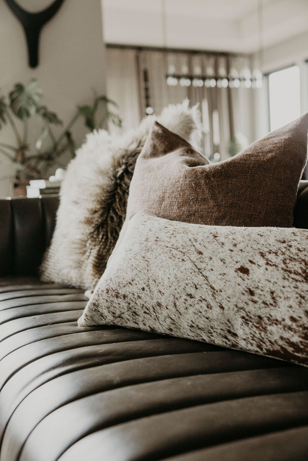 Down Home by DeBoer pillows on couch