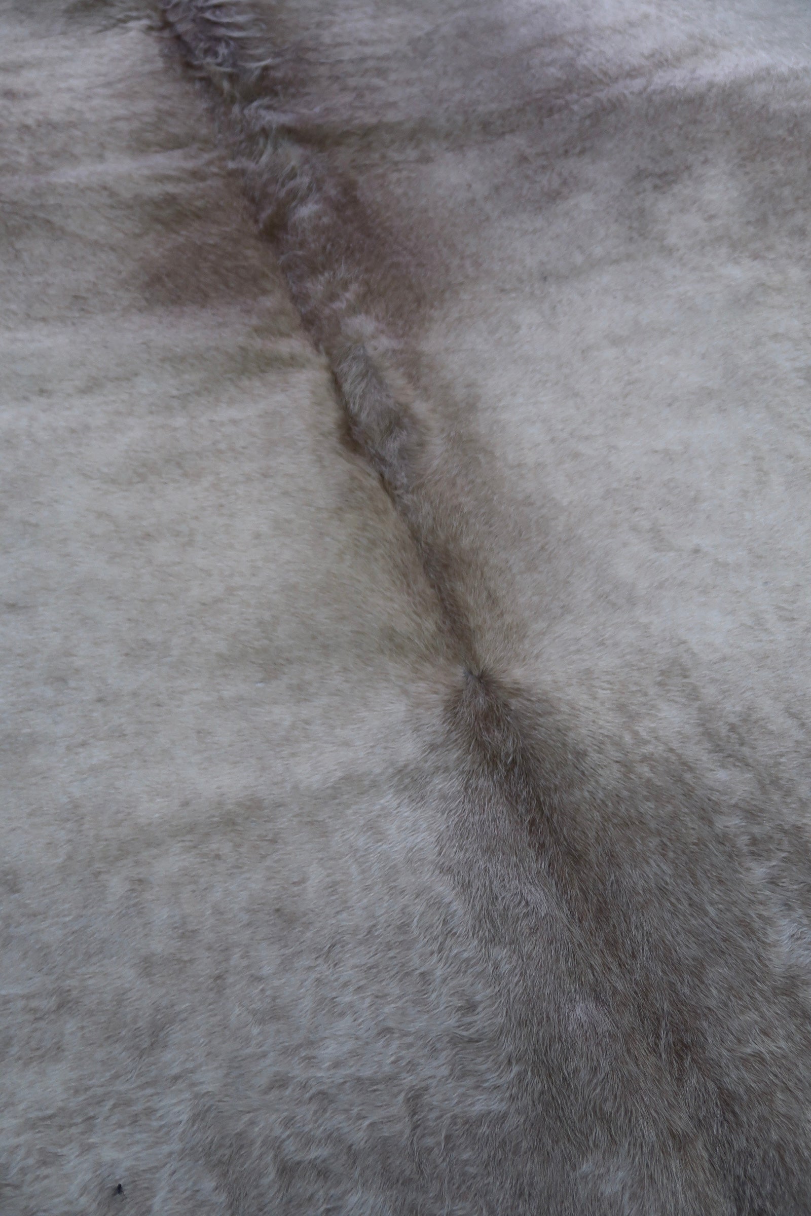 24A: Luxury Genuine Natural Cowhide Rug