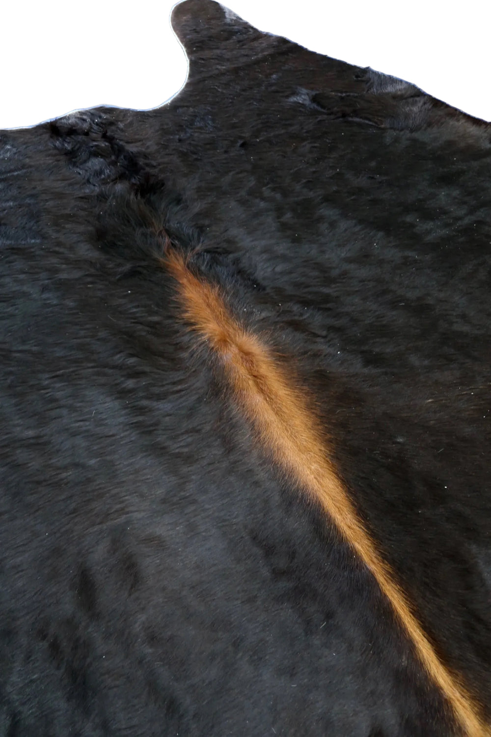 2A: Luxury Genuine Natural Cowhide Rug