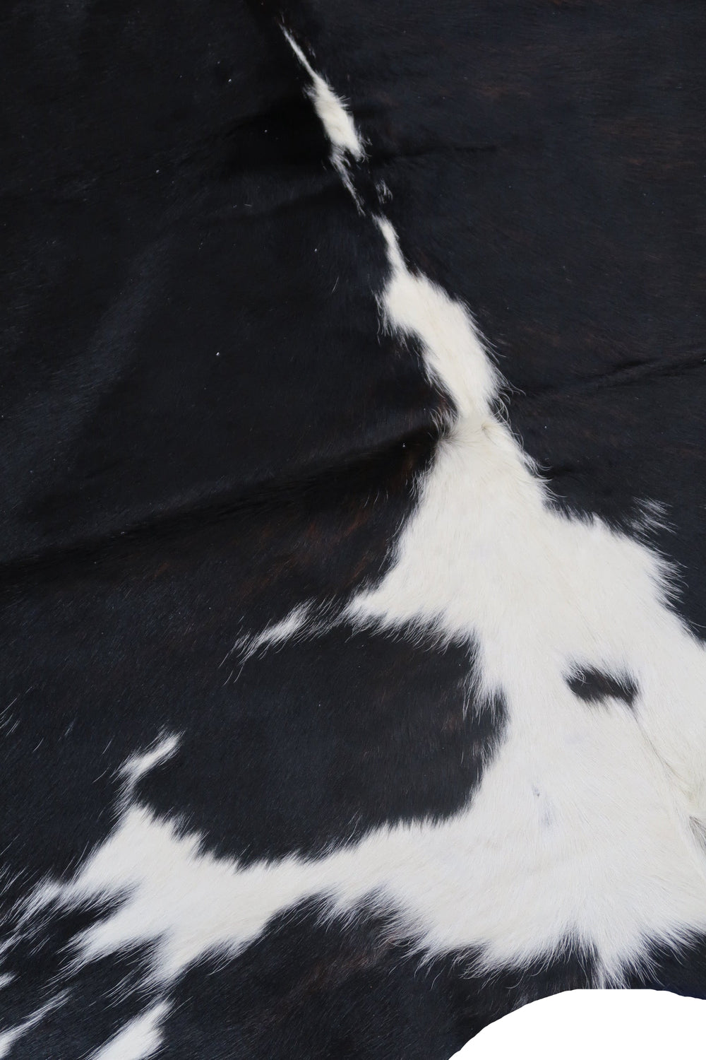 36E: Genuine Natural Cowhide Rug