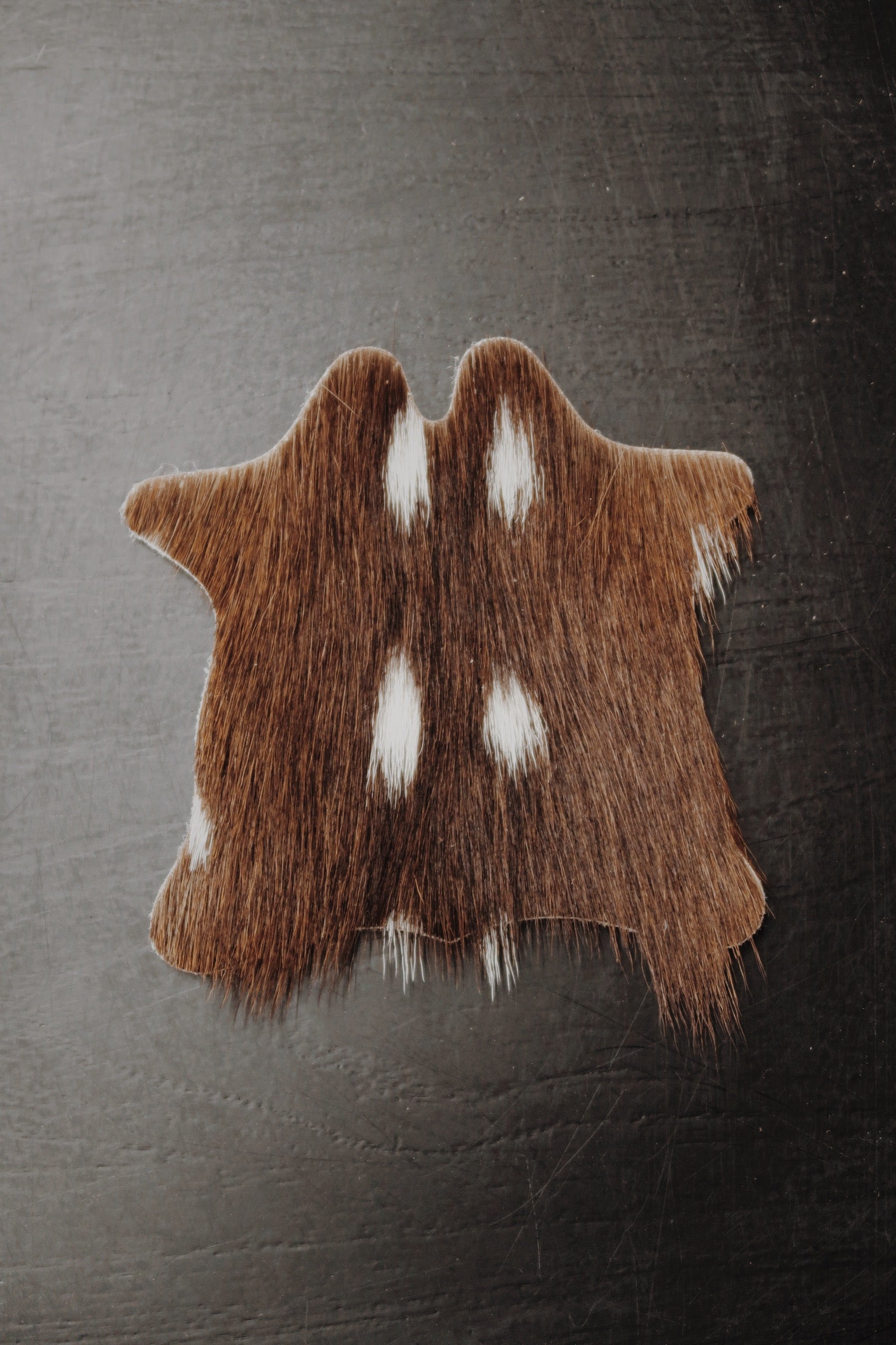 Mini Axis Hide Rug Coaster