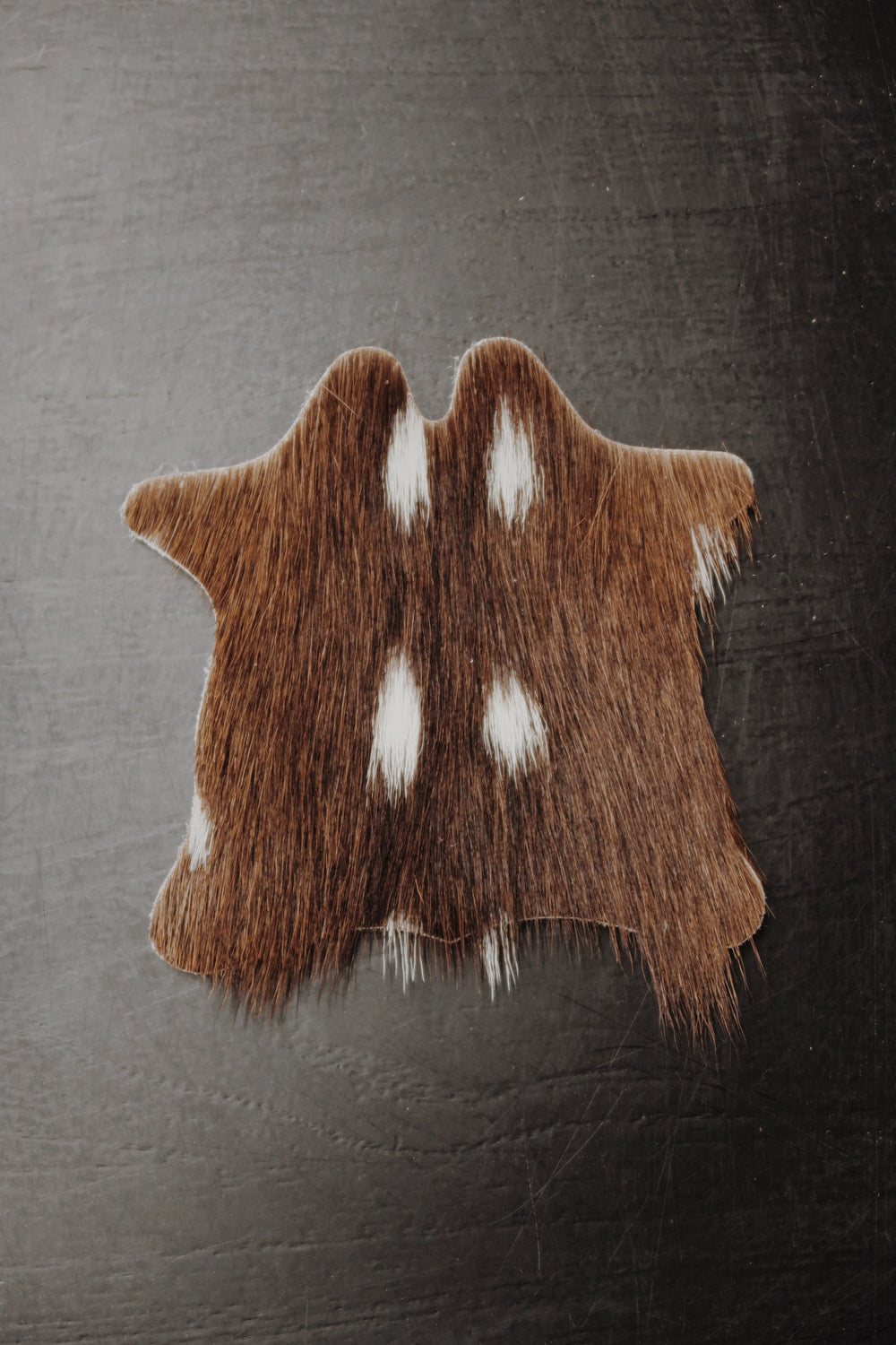 Mini Axis Hide Rug Coaster