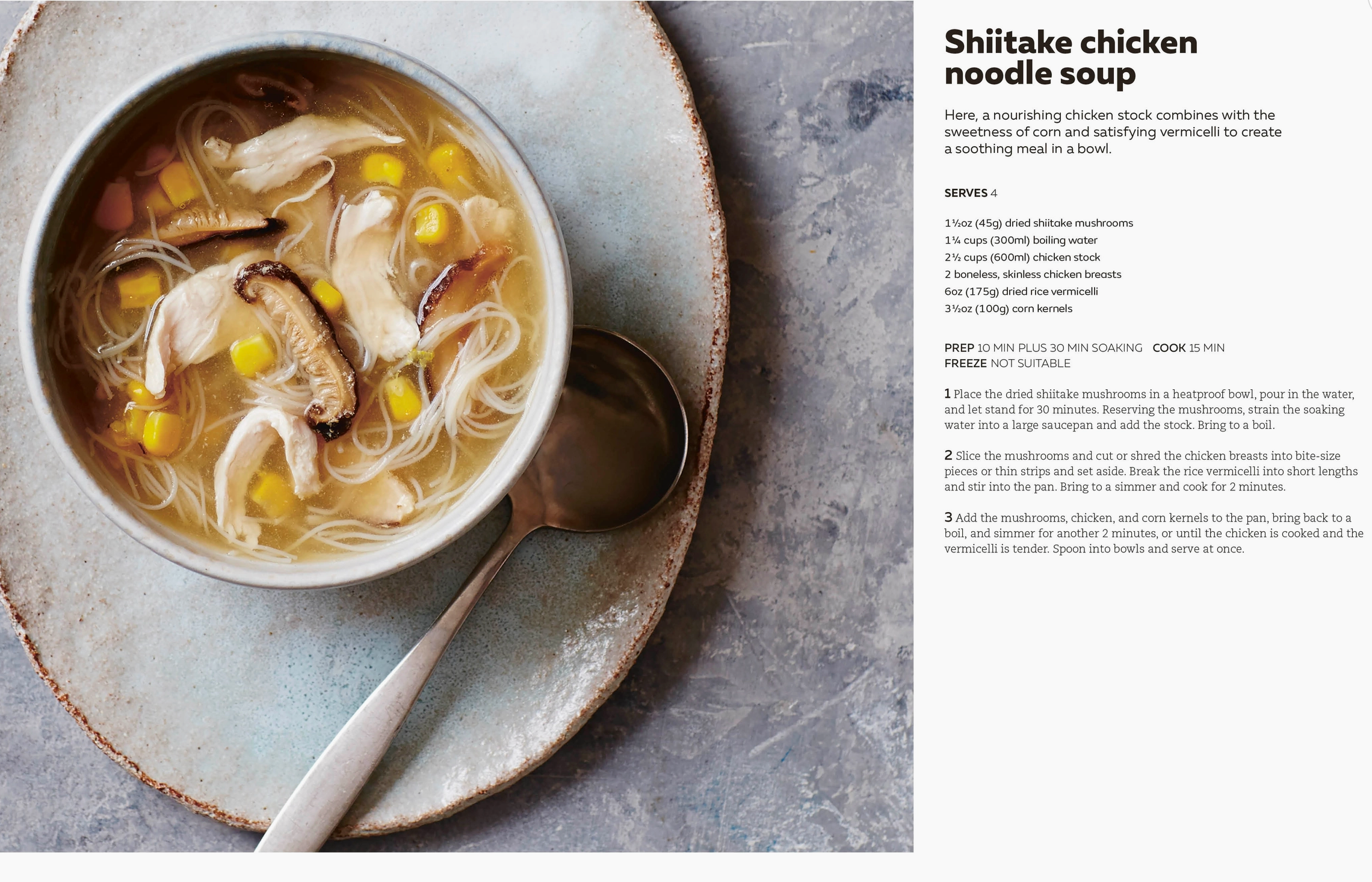 The Soup Book