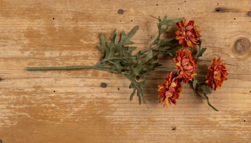 Burnt Orange Strawflower Pick