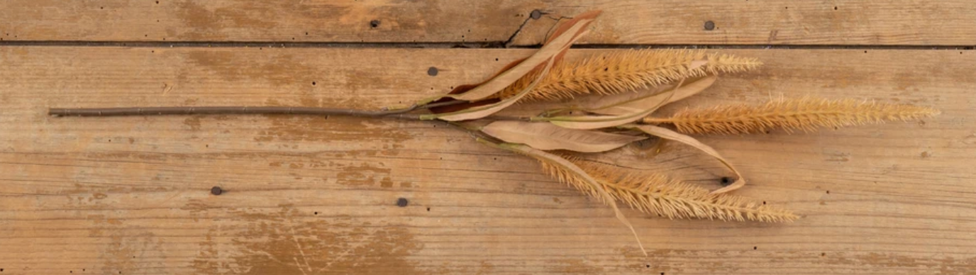 Artificial Sienna Bristlegrass Spray