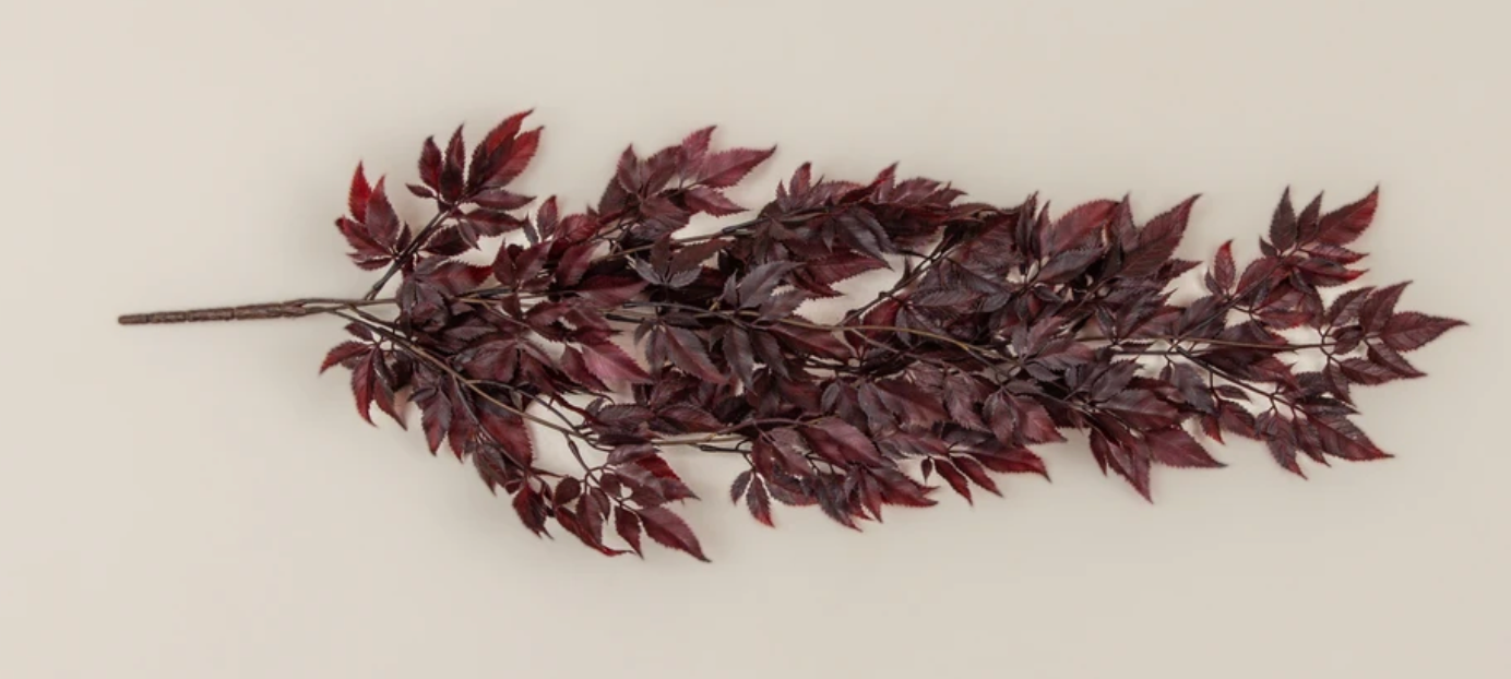 Burgundy Spikenard Hanging Bush Spray