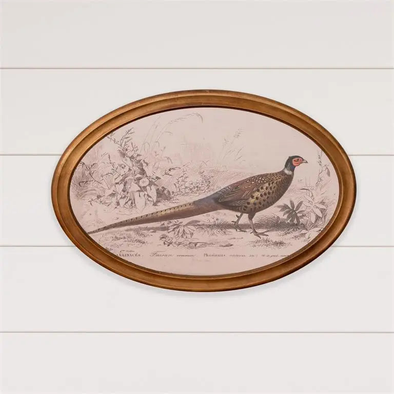 Oval Framed Pheasant Artwork