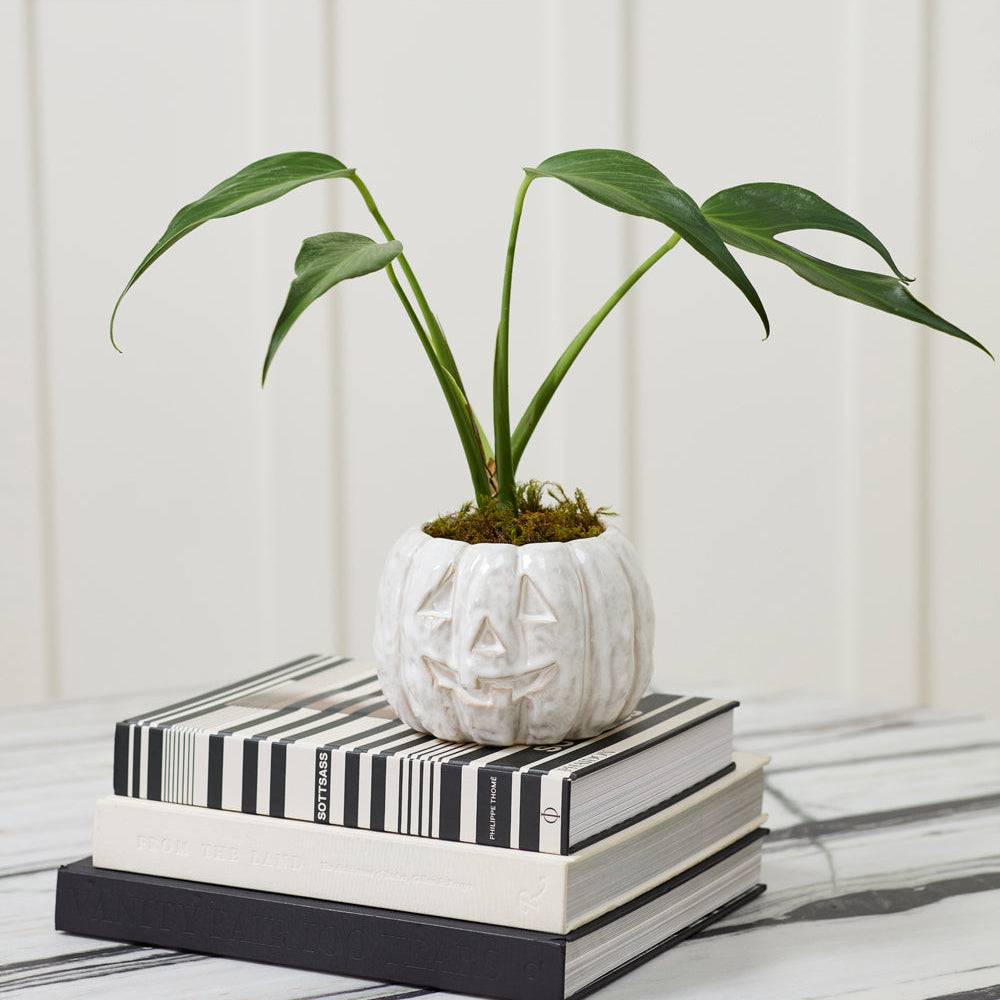 Carved Ceramic Jack-O'-Lantern Pot