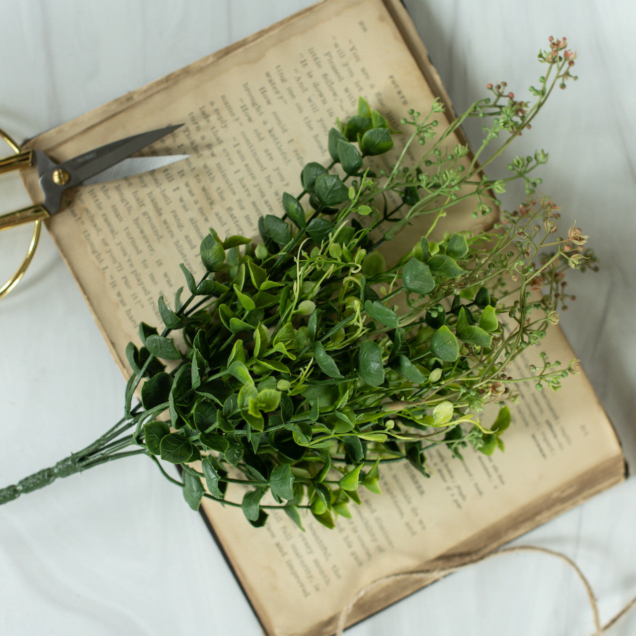 Eucalyptus & Creeping Psychotria Bush