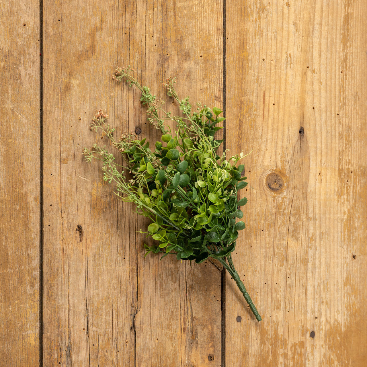 Eucalyptus & Creeping Psychotria Bush