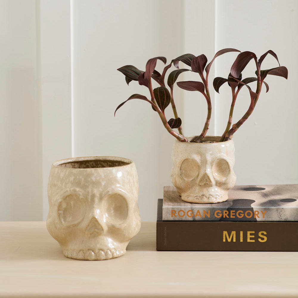 Glazed Skull Pot - 2 Sizes