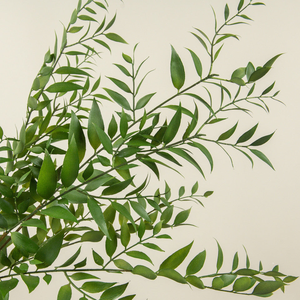 Smilax Pick