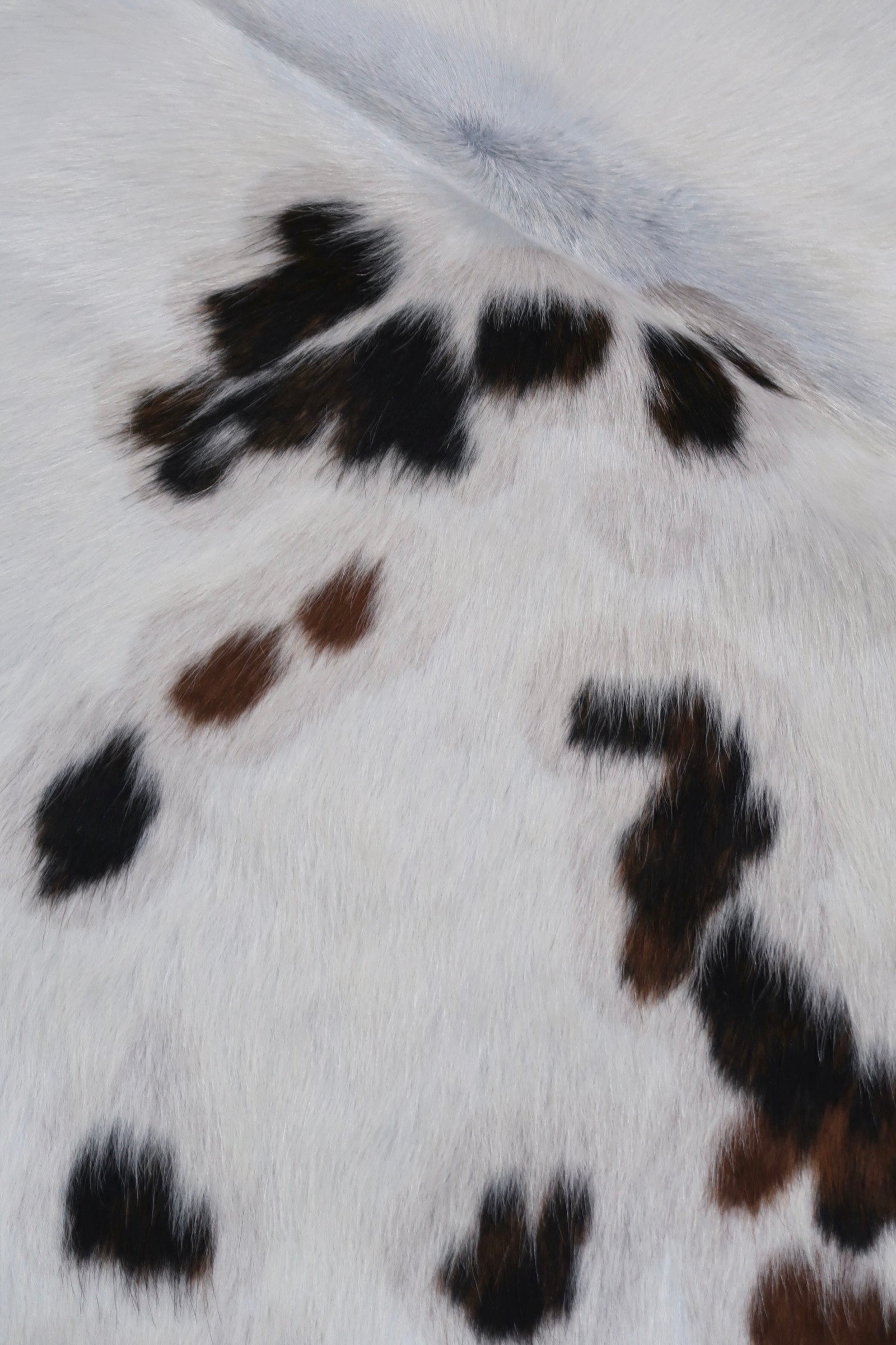 13A: Genuine Natural Cowhide Rug