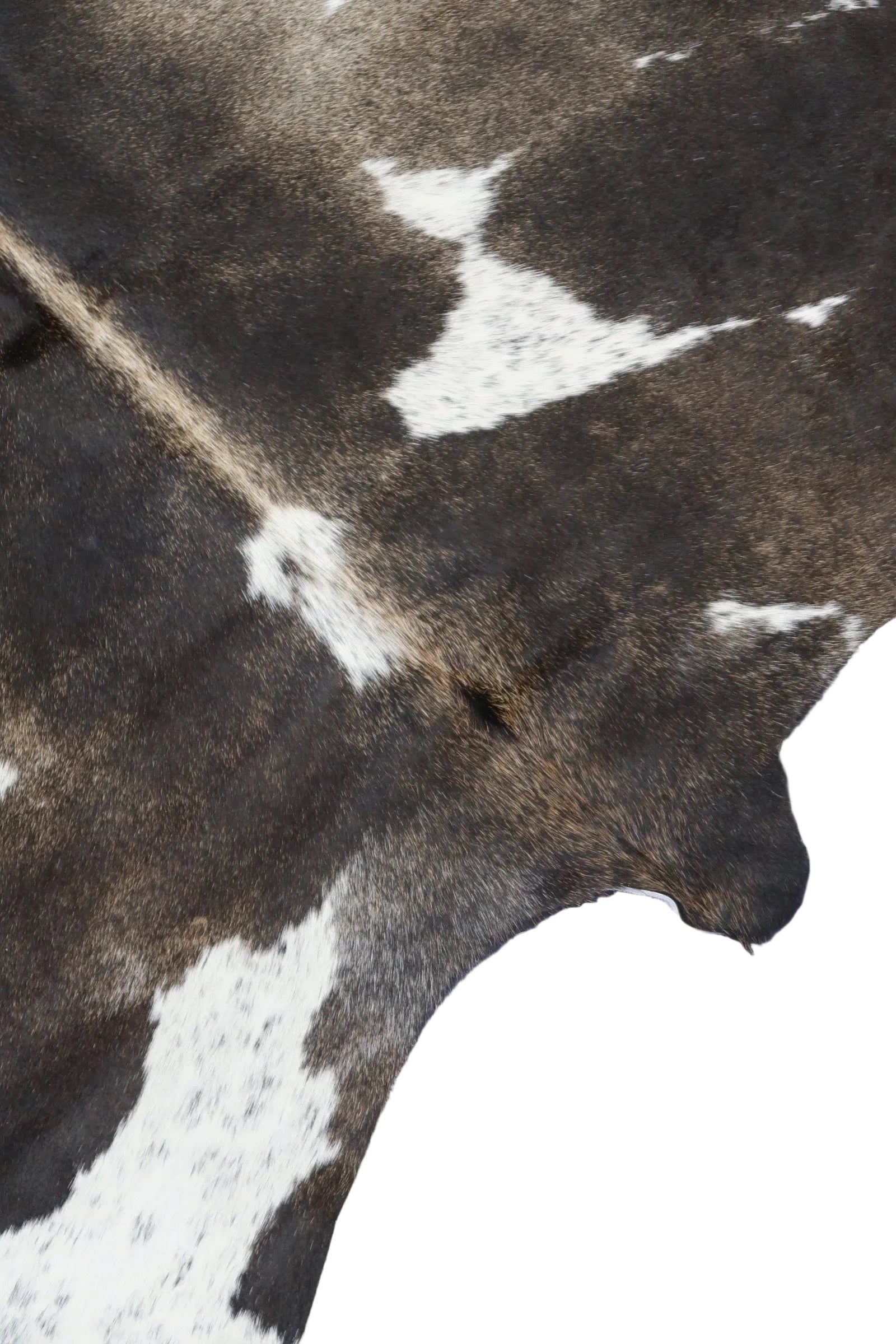 19A: Luxury Genuine Natural Cowhide Rug