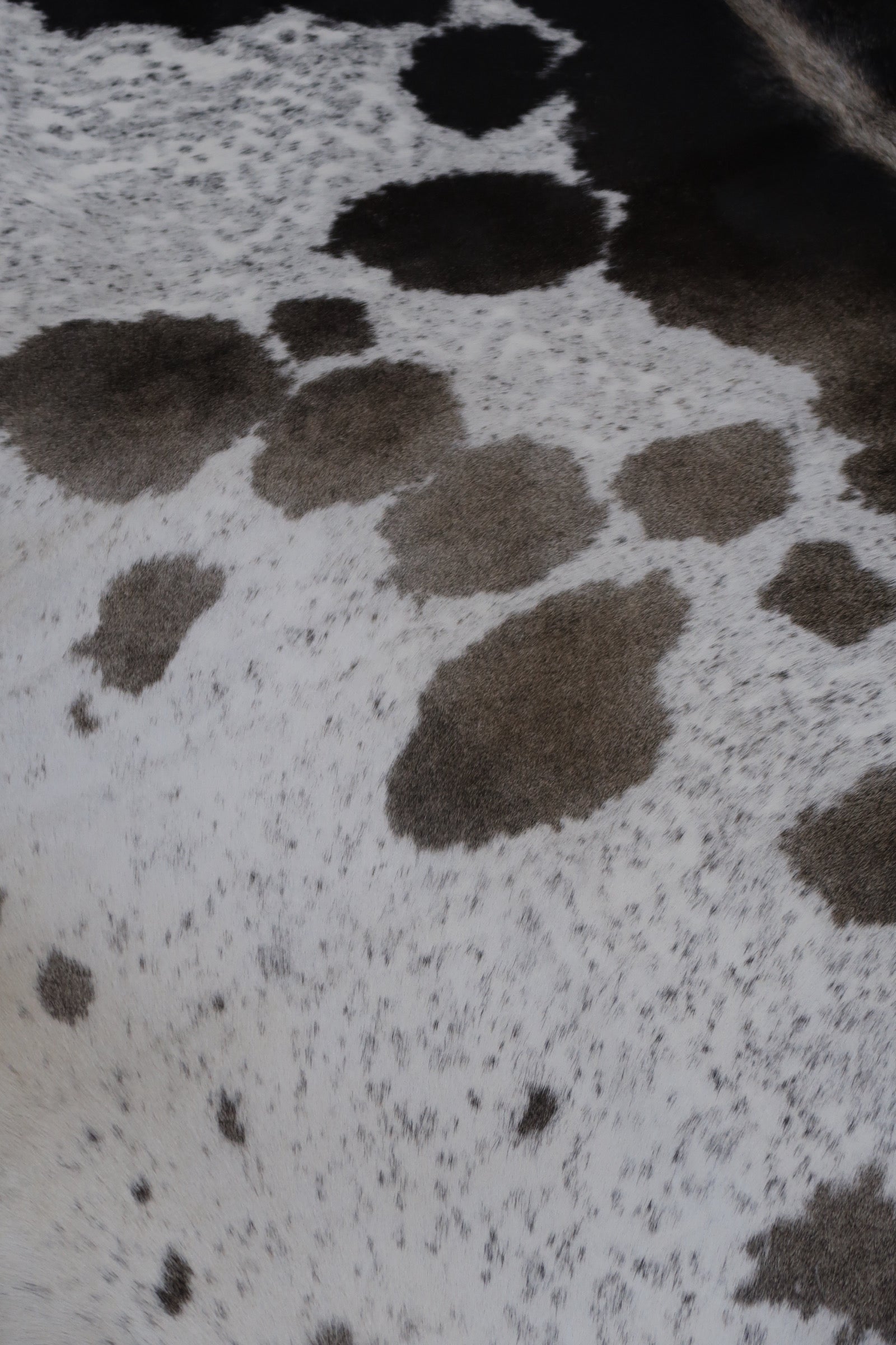 19A: Luxury Genuine Natural Cowhide Rug