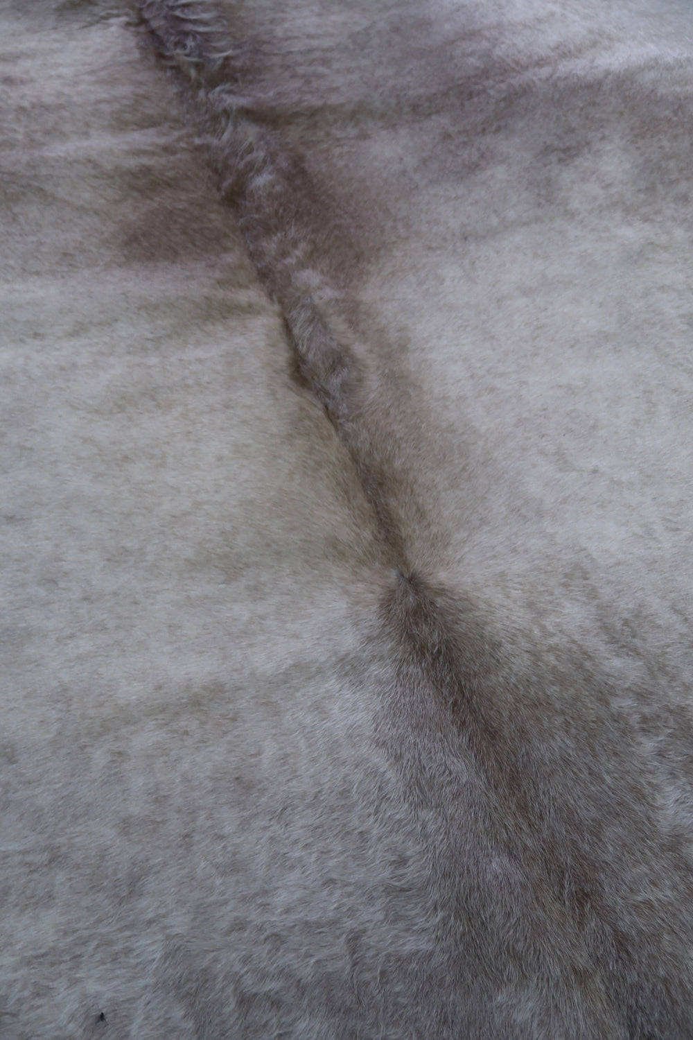 24A: Luxury Genuine Natural Cowhide Rug