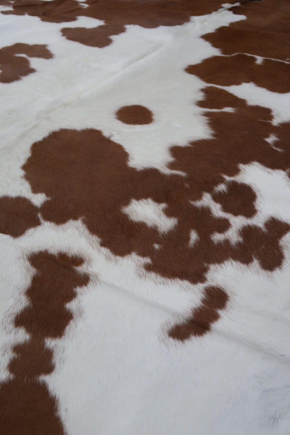 26B: Genuine Natural Cowhide Rug