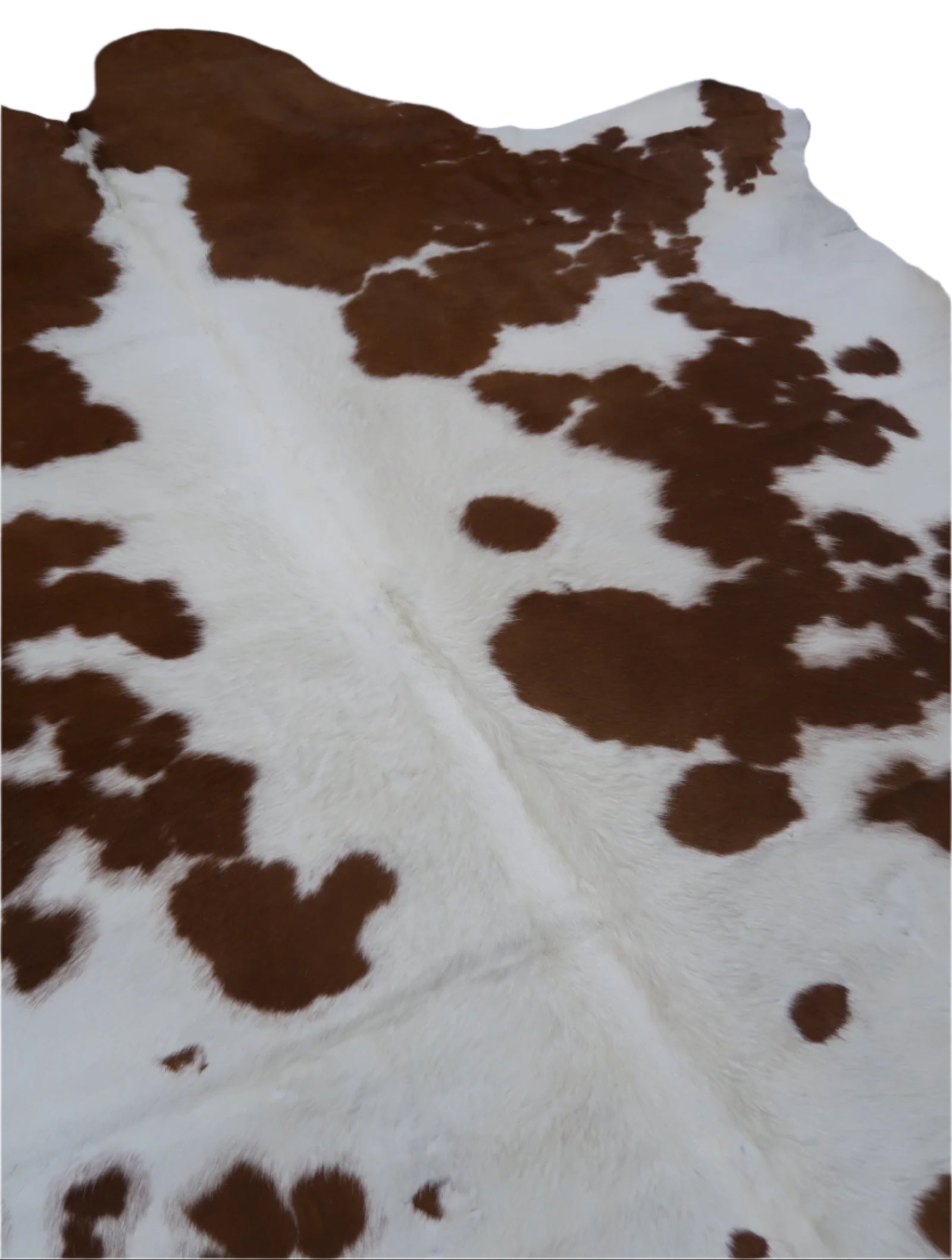 26B: Genuine Natural Cowhide Rug