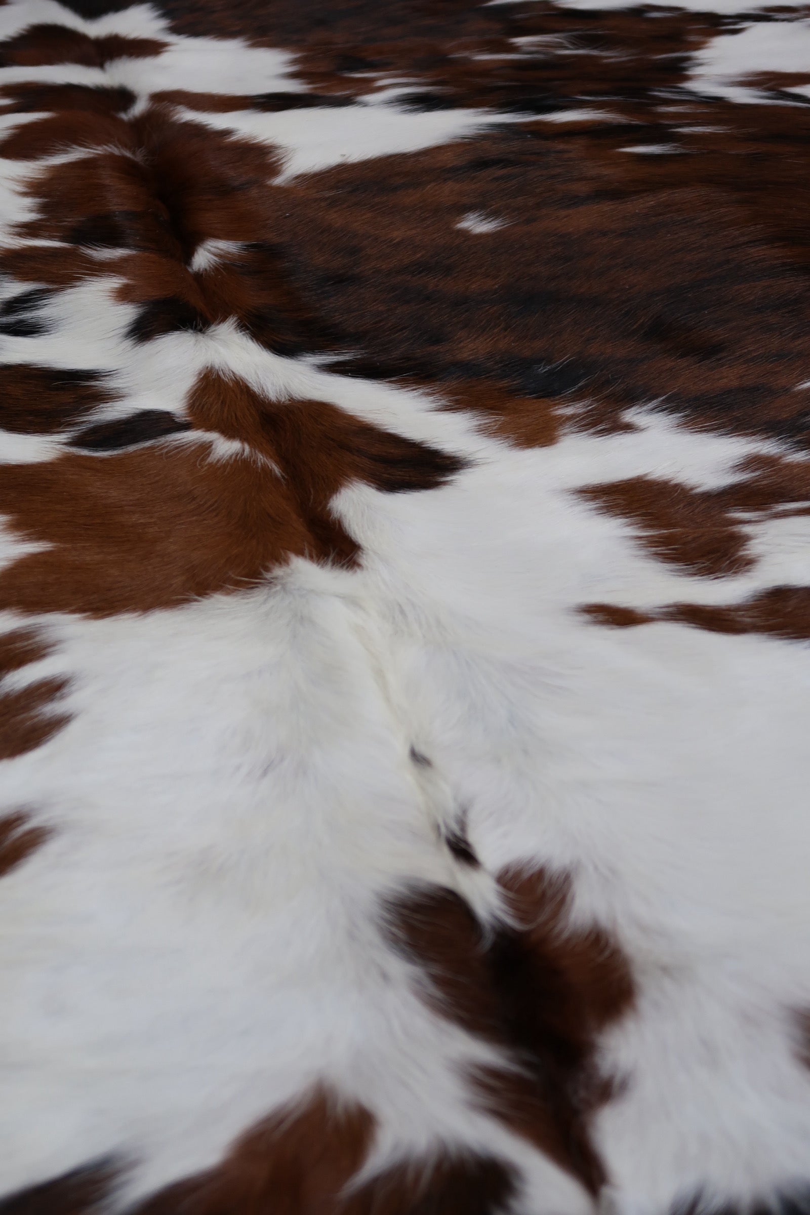 28B: Genuine Natural Cowhide Rug