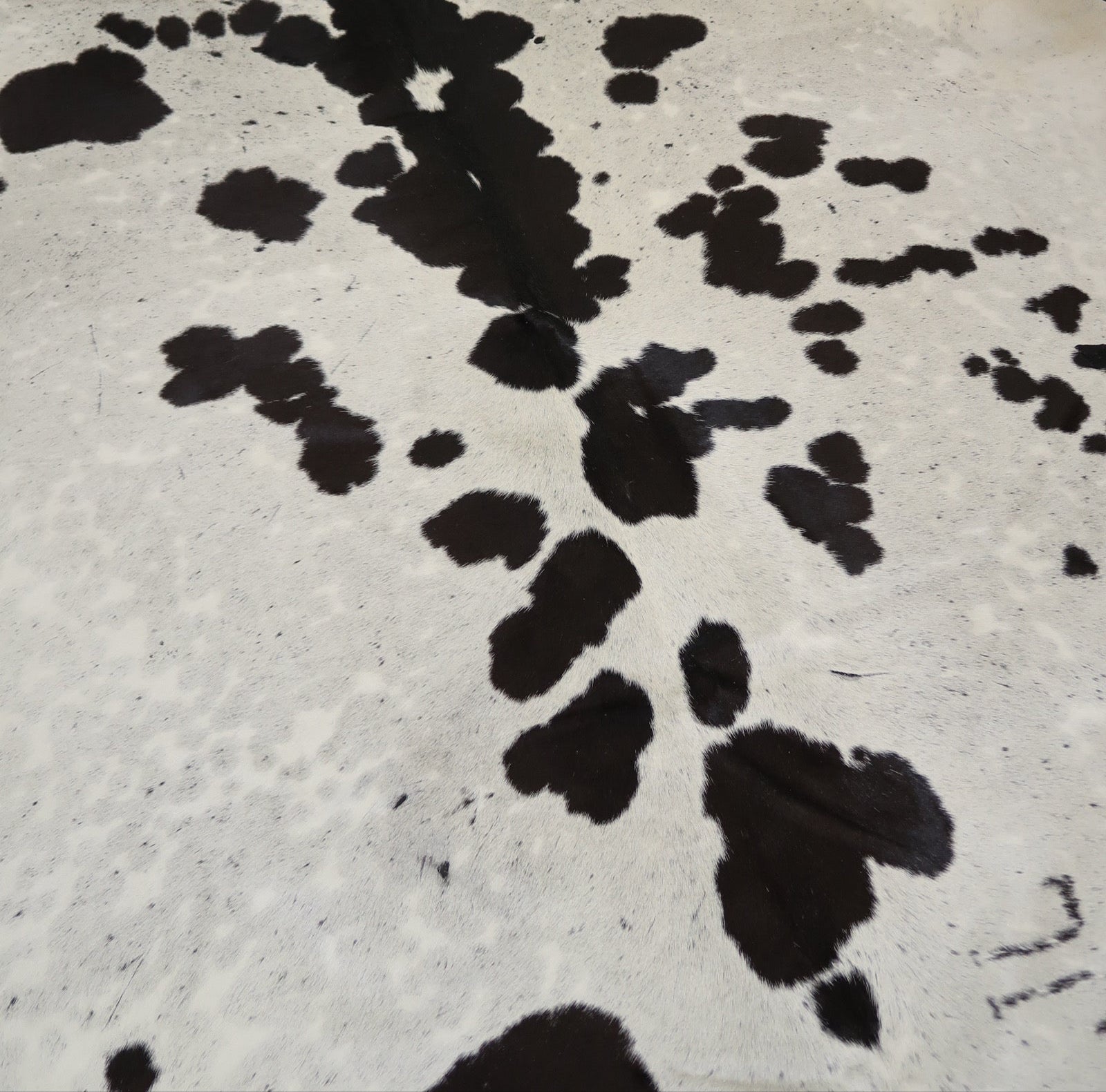 28C: Genuine Natural Cowhide Rug