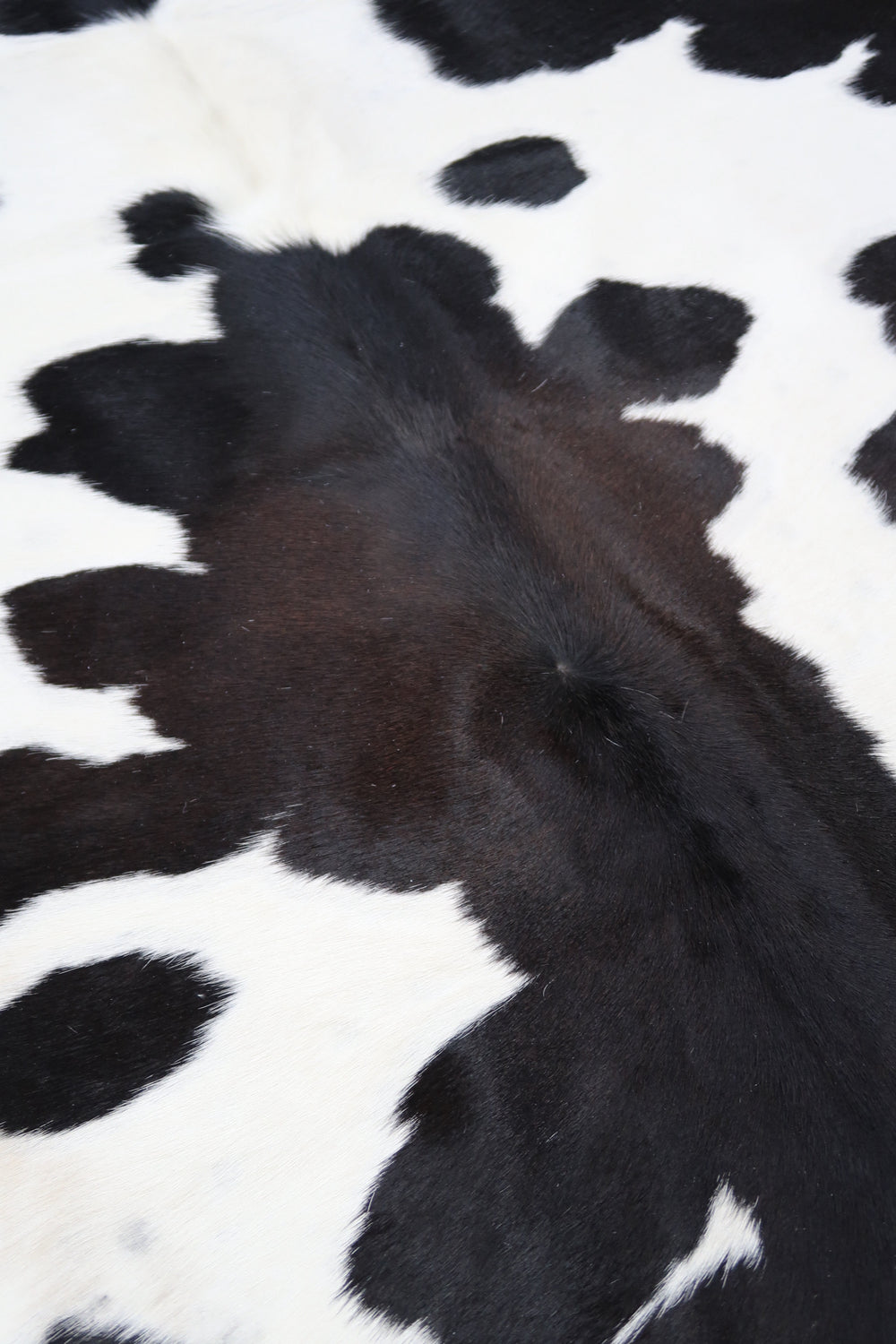 29B: Genuine Natural Cowhide Rug