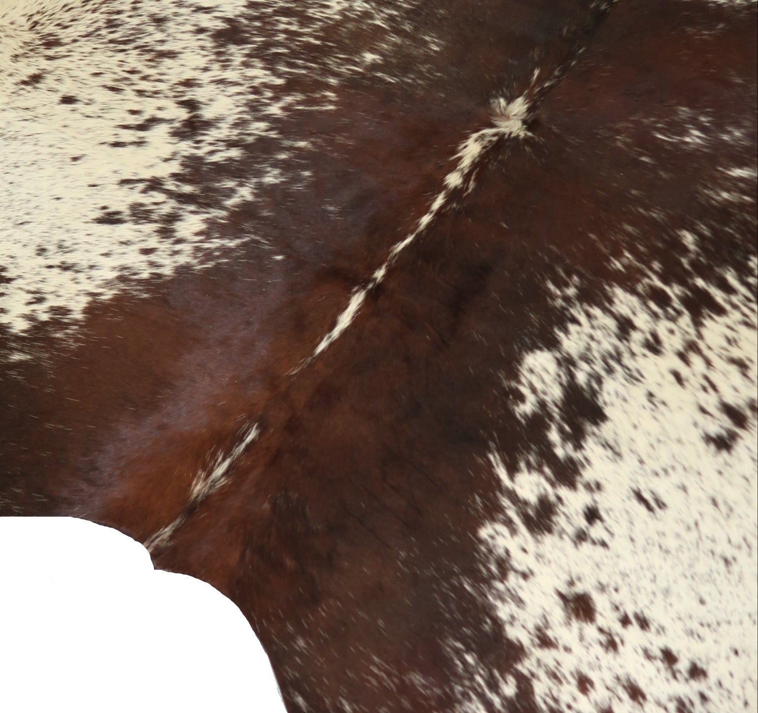 29C: Luxury Genuine Natural Cowhide Rug