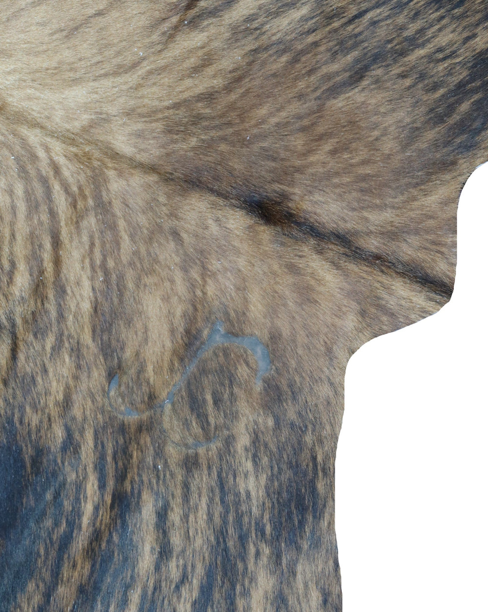 29E: Genuine Natural Cowhide Rug