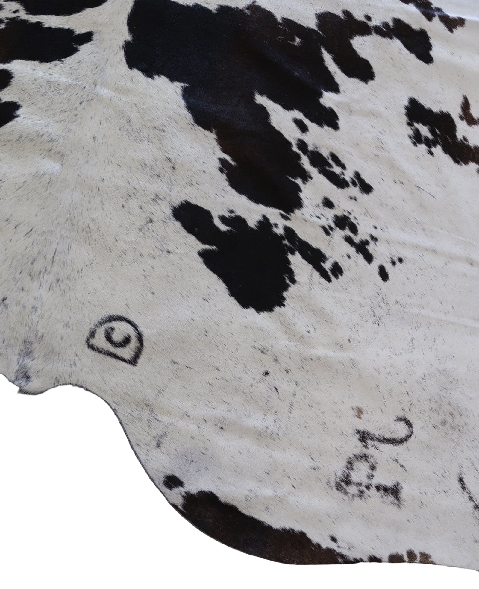 46C: Luxury Genuine Natural Cowhide Rug