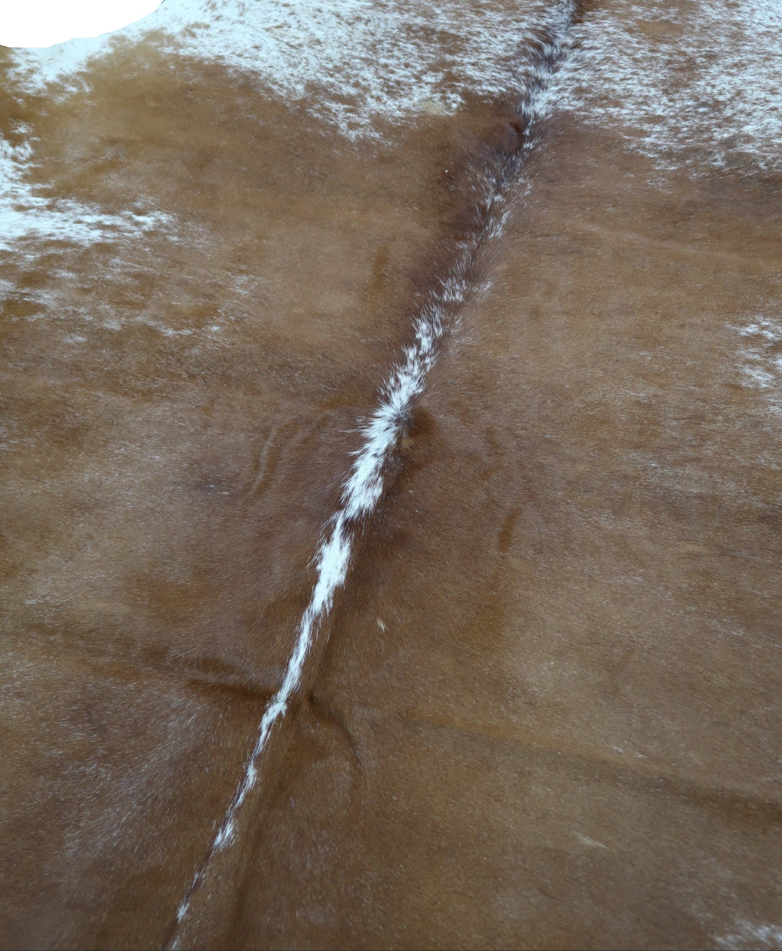 48C: Luxury Genuine Natural Cowhide Rug