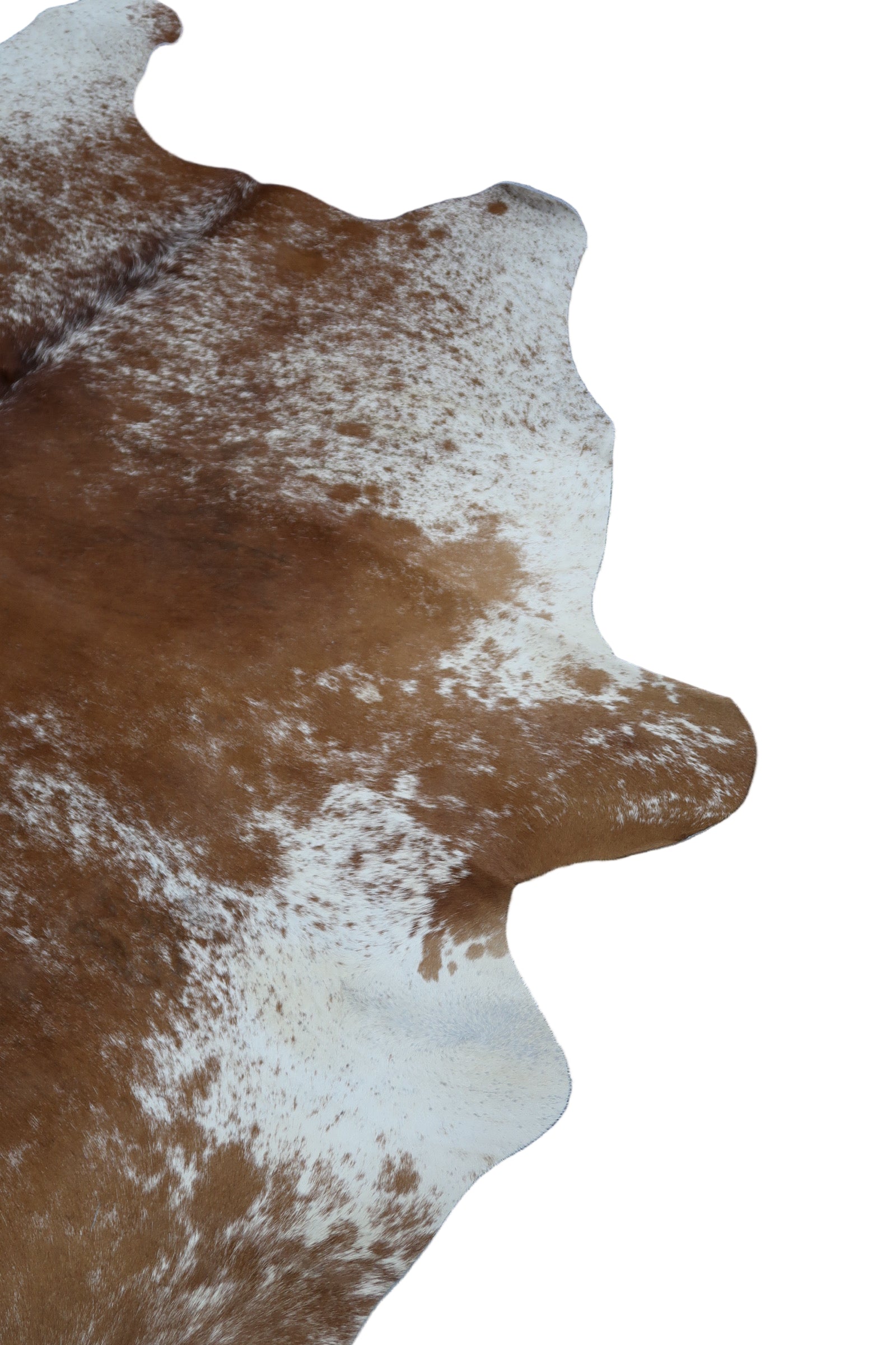 48C: Luxury Genuine Natural Cowhide Rug