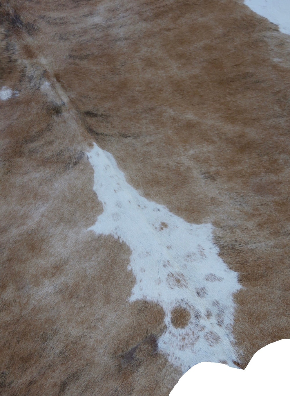 4A: Genuine Natural Cowhide Rug