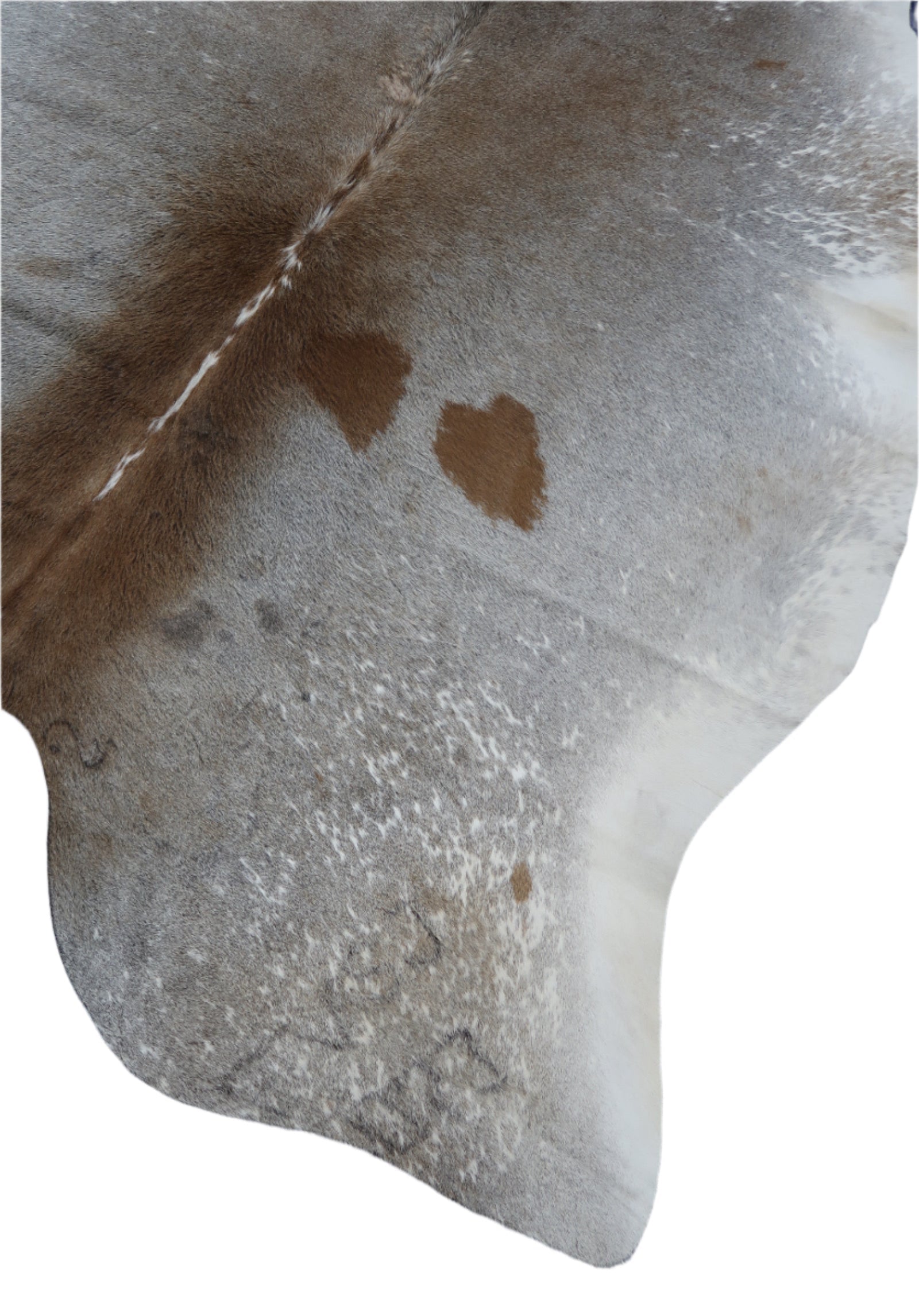 5B: Luxury Genuine Natural Cowhide Rug