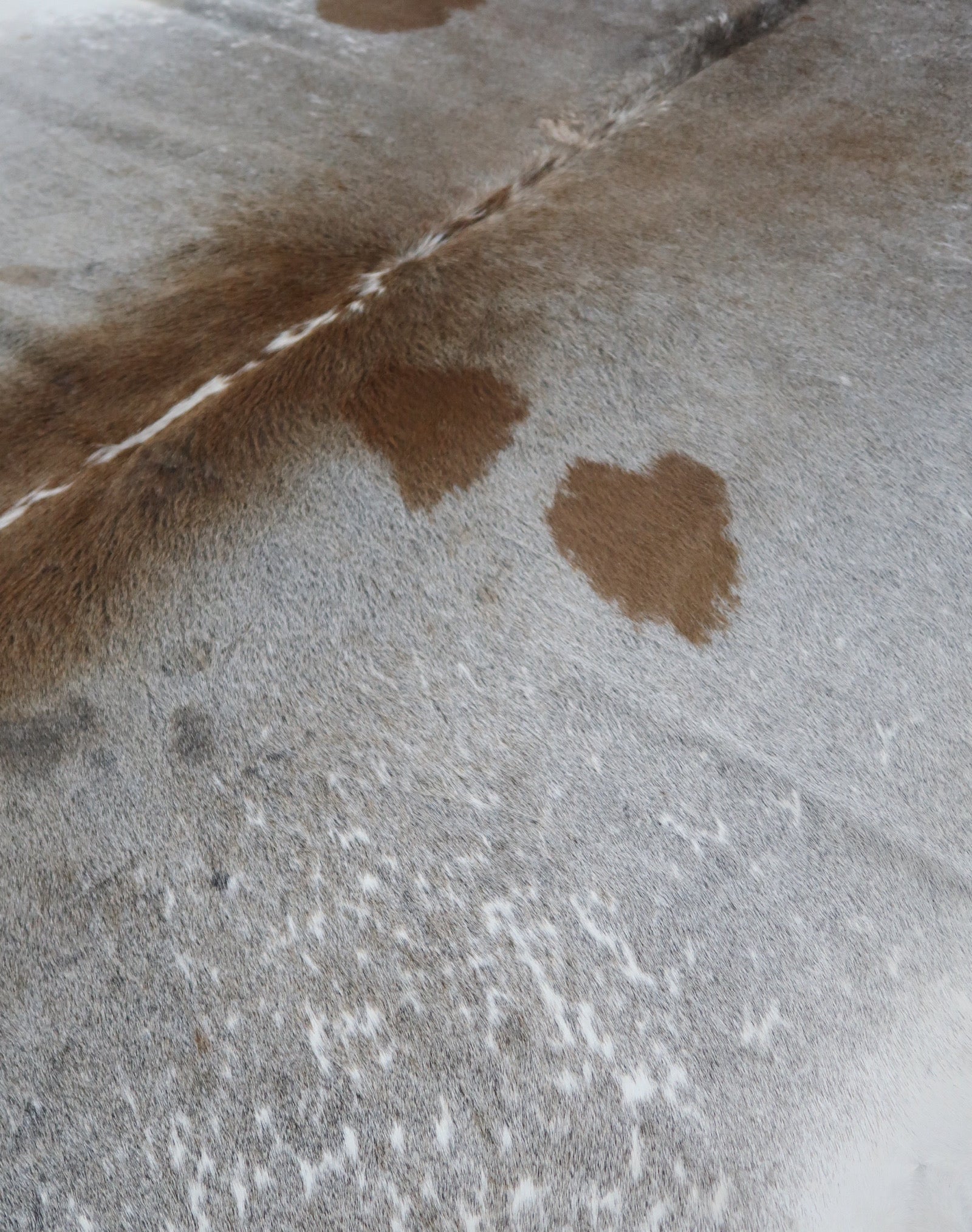 5B: Luxury Genuine Natural Cowhide Rug