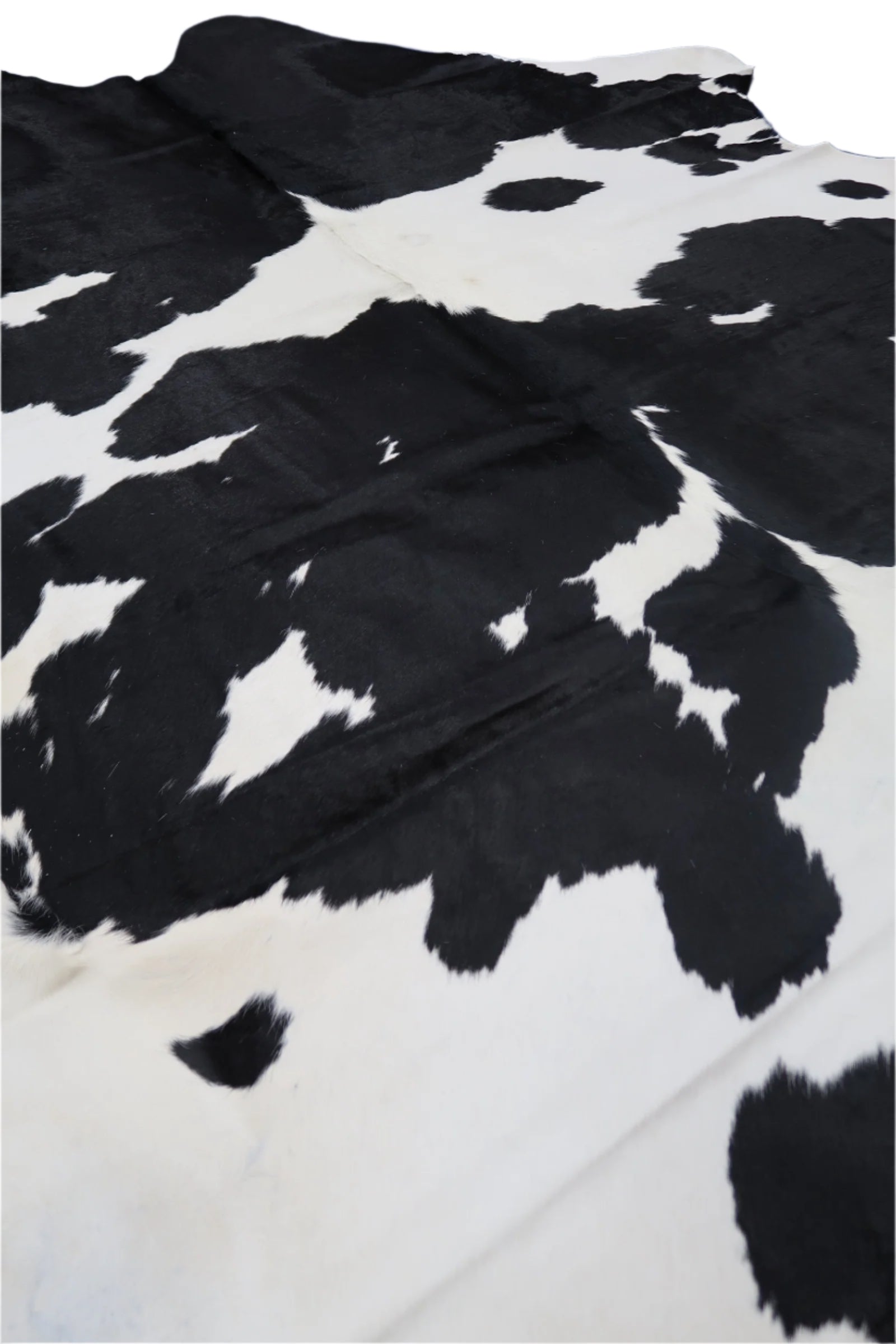 6B: Genuine Natural Cowhide Rug