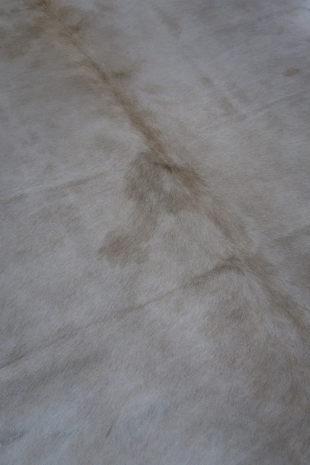 7B: Genuine Natural Cowhide Rug