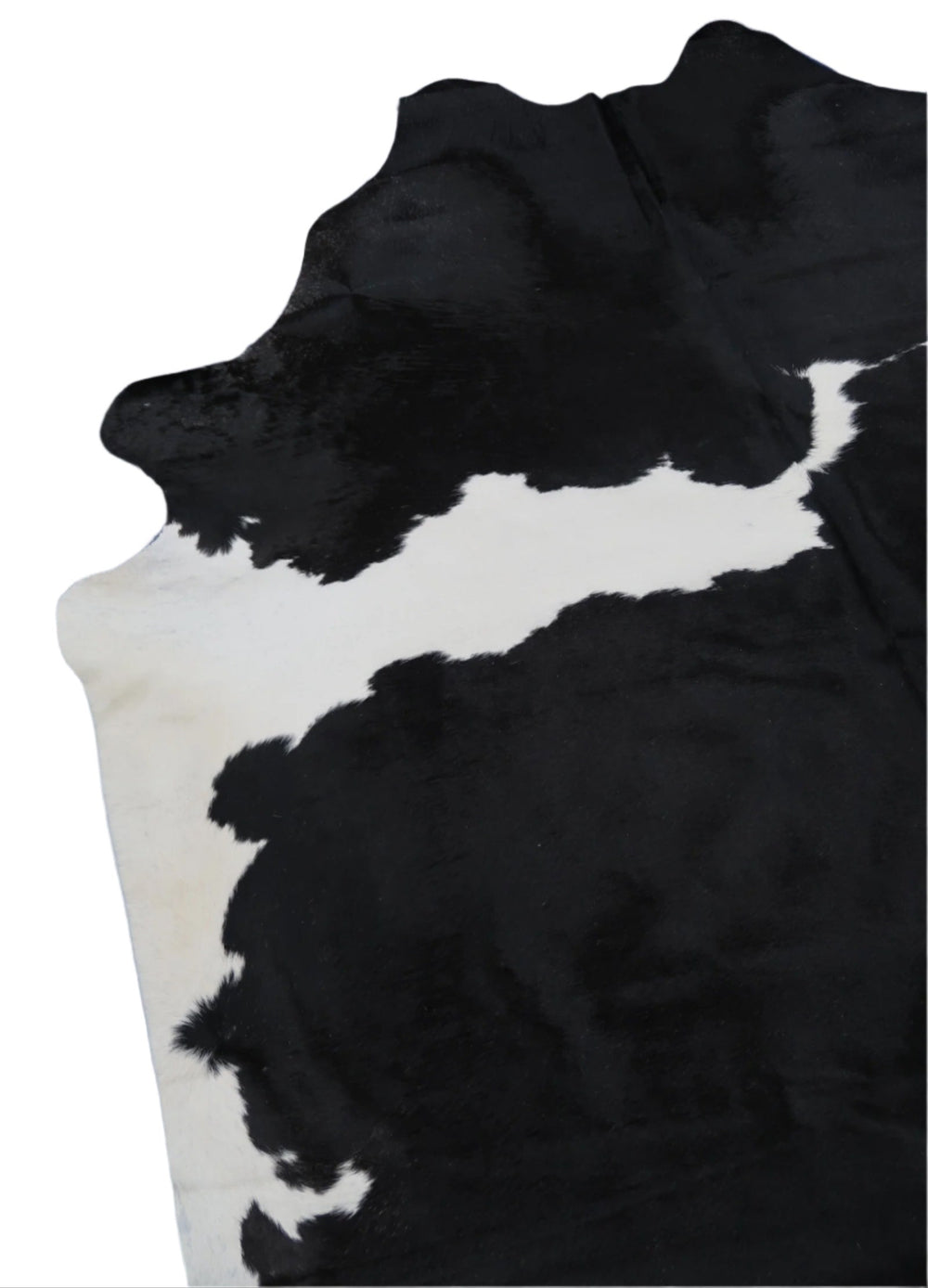 8B: Genuine Natural Cowhide Rug