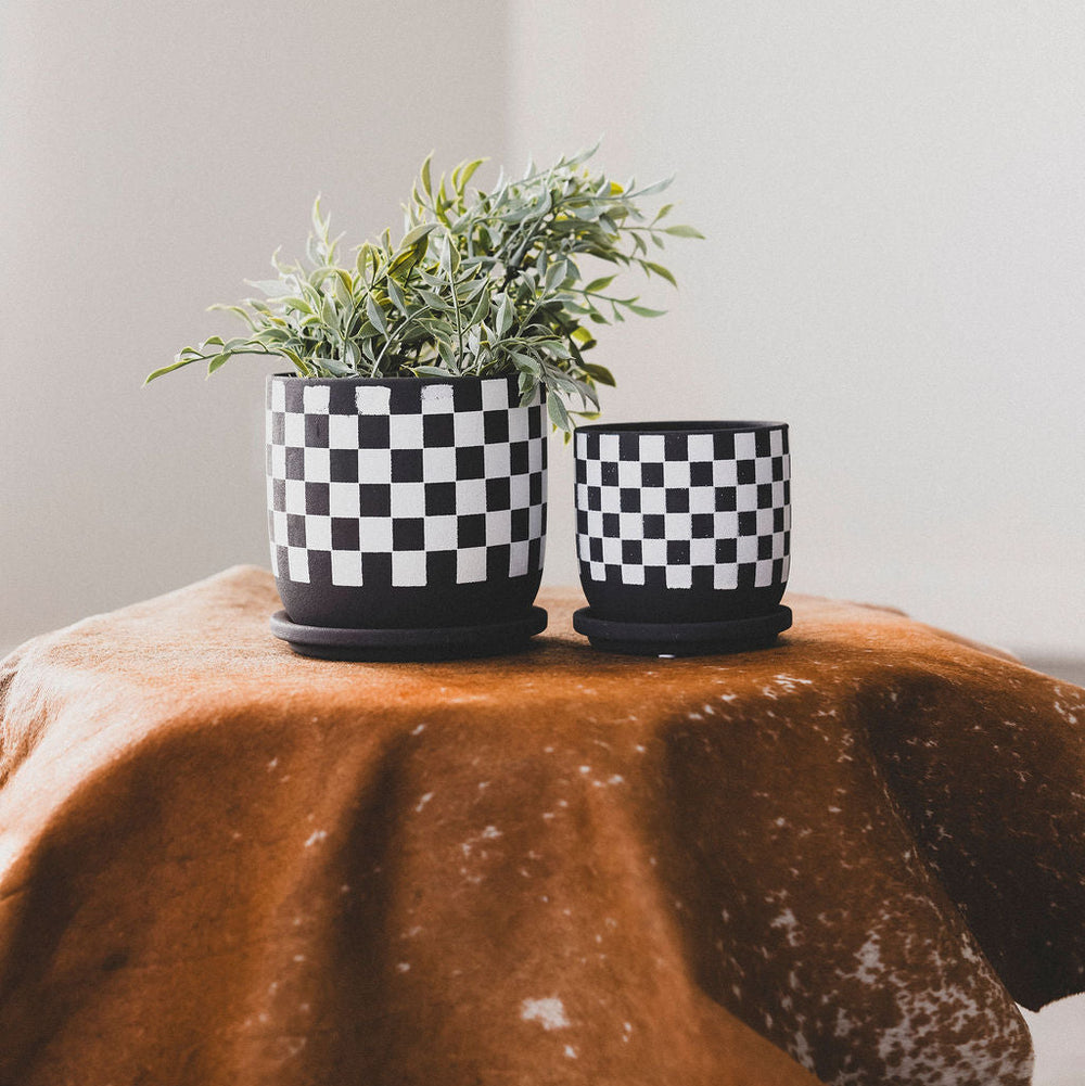 Checkered Saucer Planter - 2 Sizes