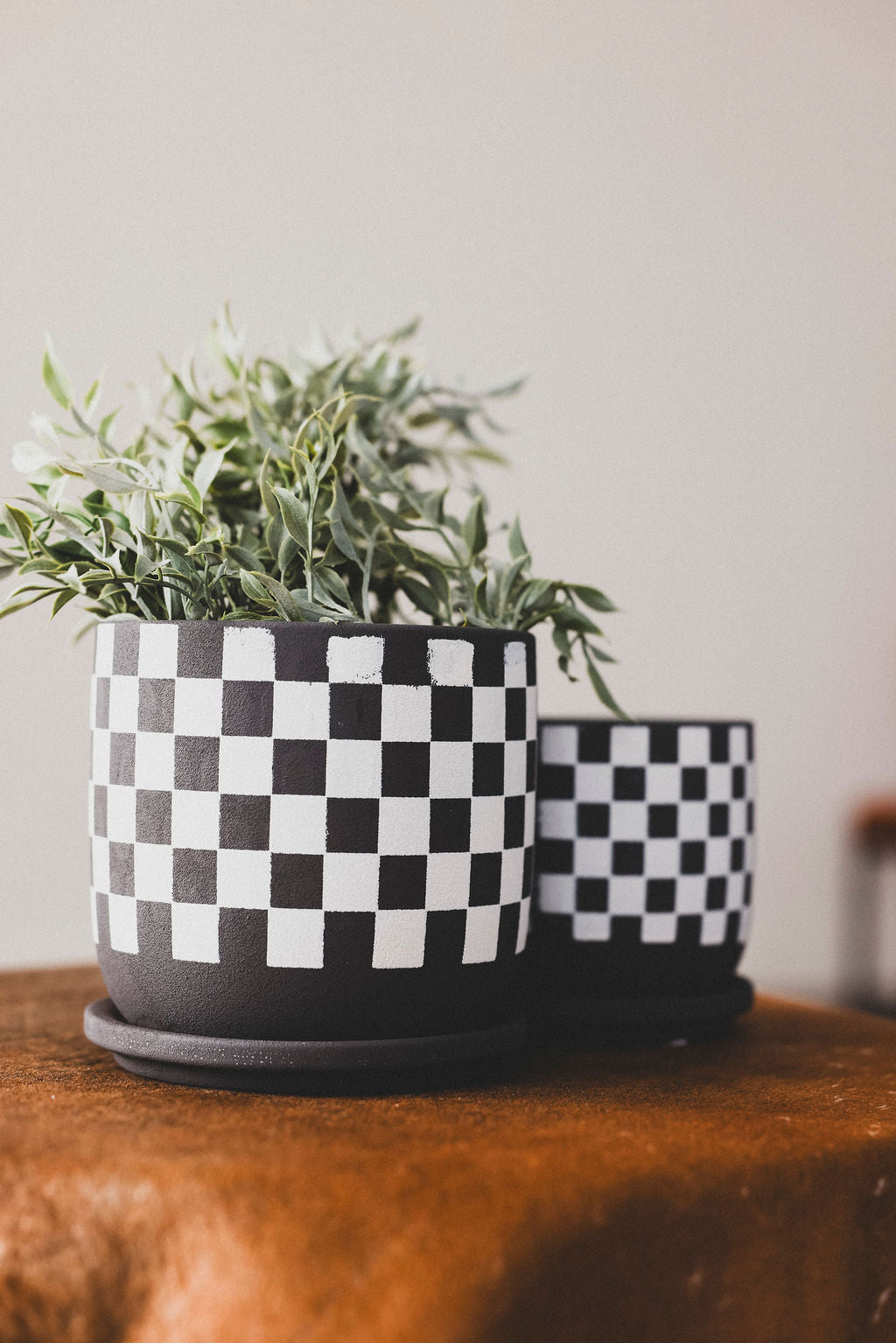 Checkered Saucer Planter - 2 Sizes