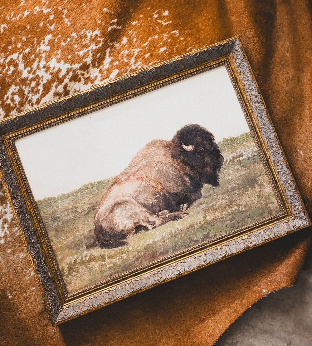 Resting Bison Framed Art - 2 Sizes