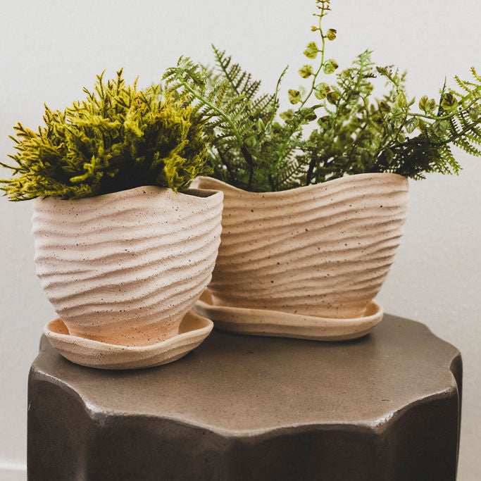 Gritty Ceramic Planter with Saucer- 2 Sizes