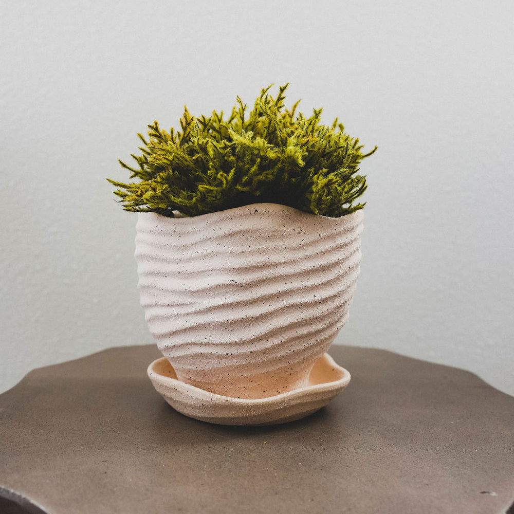 Gritty Ceramic Planter with Saucer- 2 Sizes