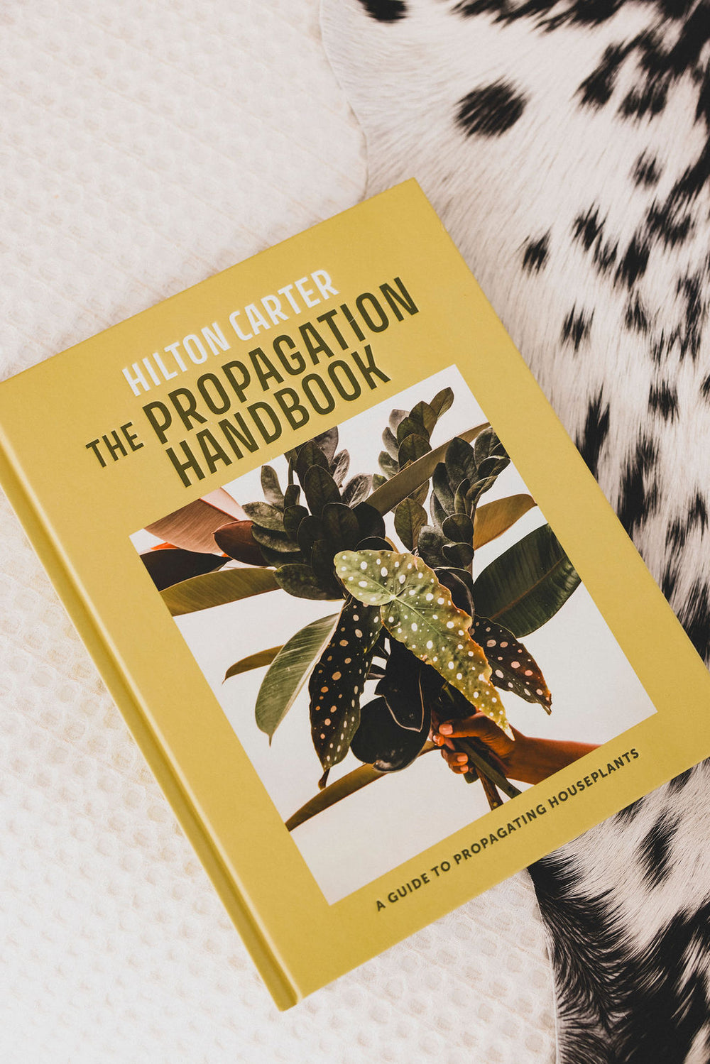 The Propagation Handbook: A Guide to Propagating Houseplants