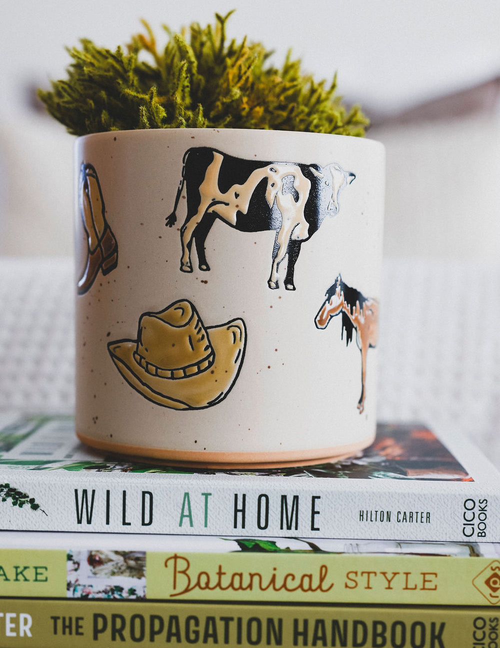Saddle Up Ceramic Planter - 2 Sizes