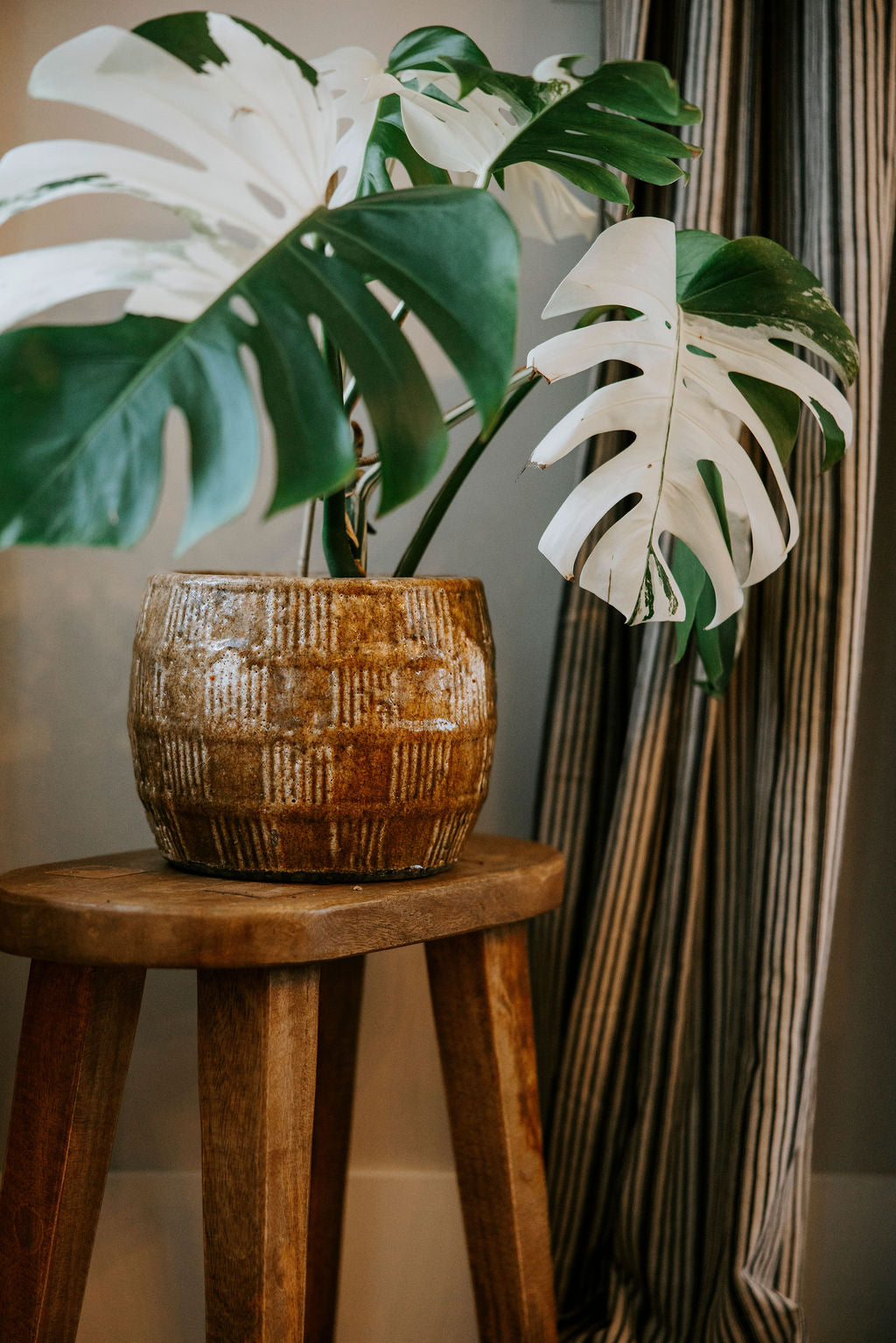 Round Embossed Terracotta Pot