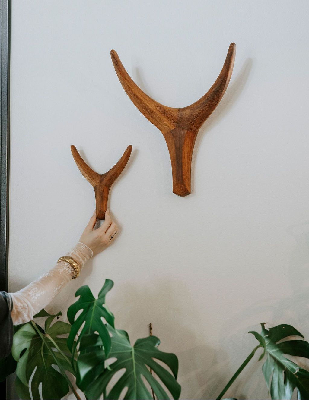 Nguni Head Iroko Wall Decor