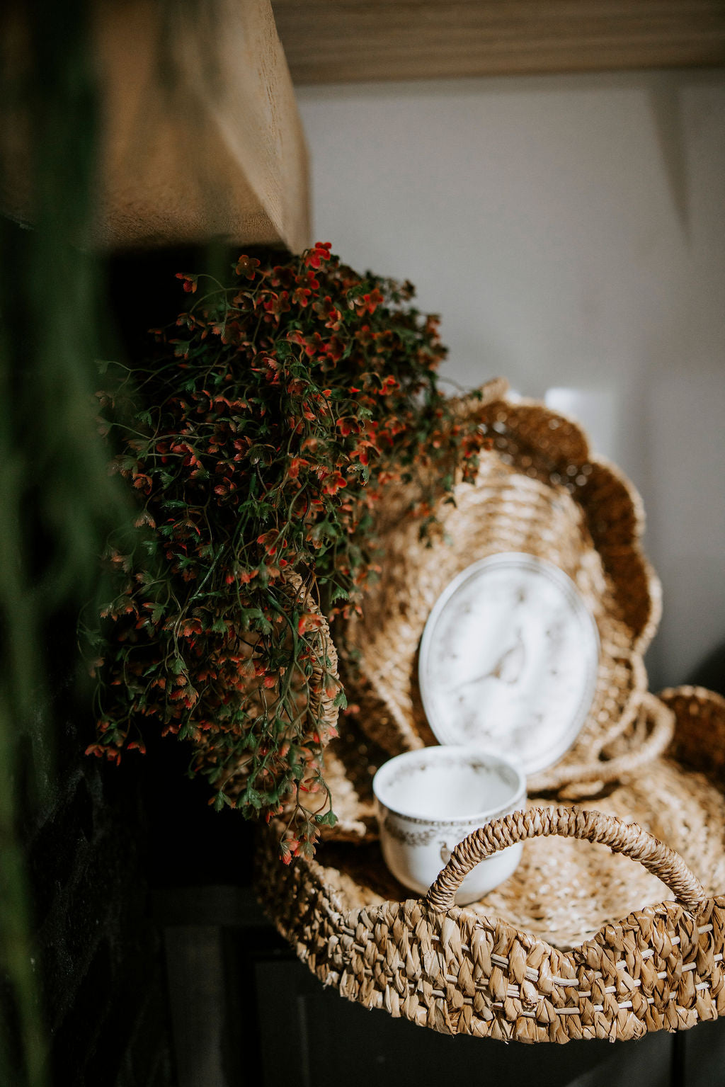 Helleborus Hanging Spray