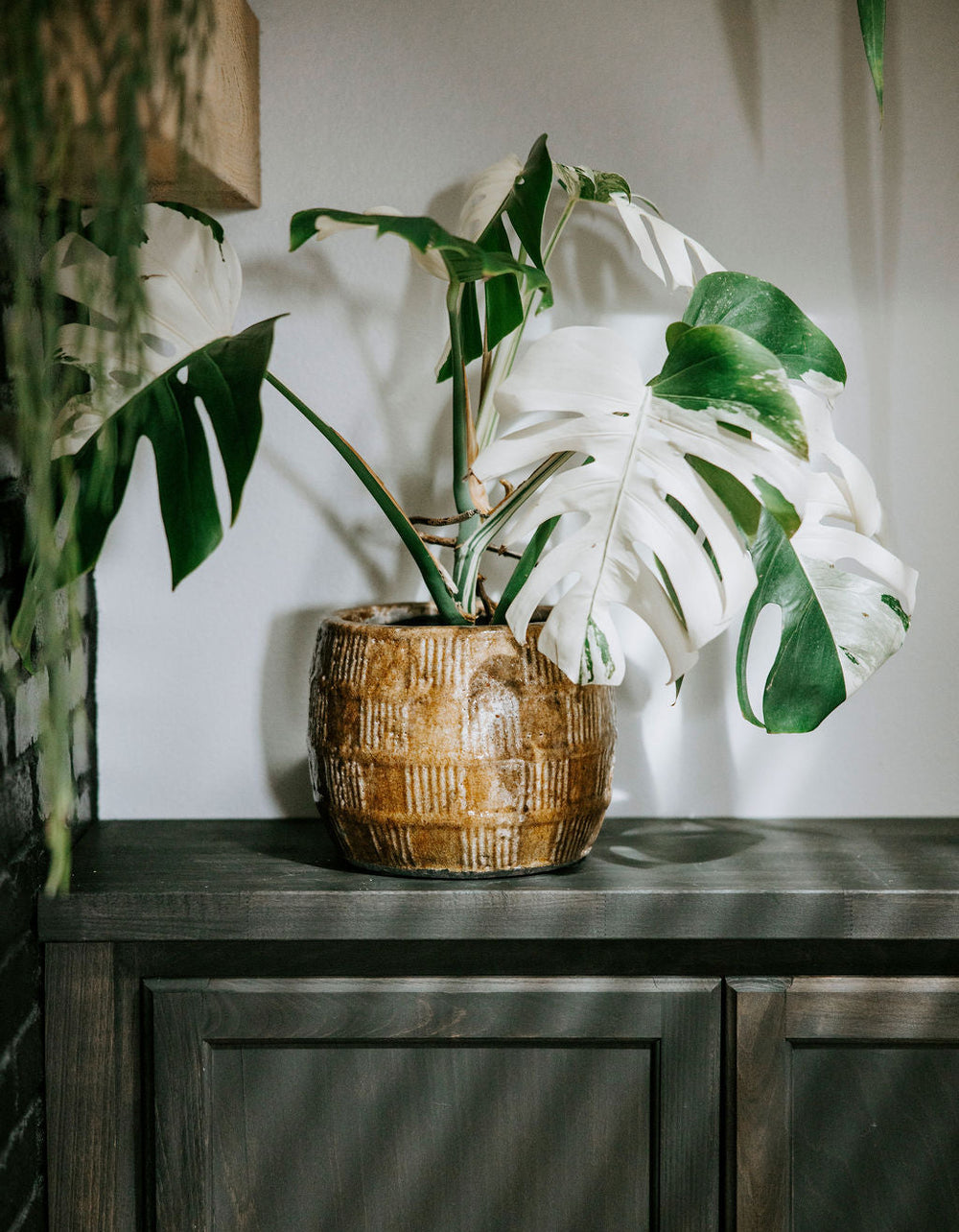 Round Embossed Terracotta Pot