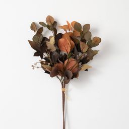 Brown Eucalyptus Spray