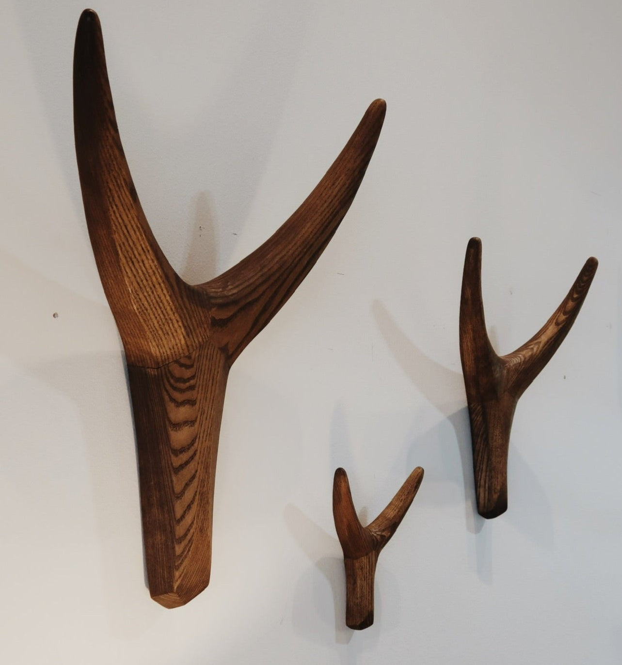 Nguni Head Iroko Wall Decor