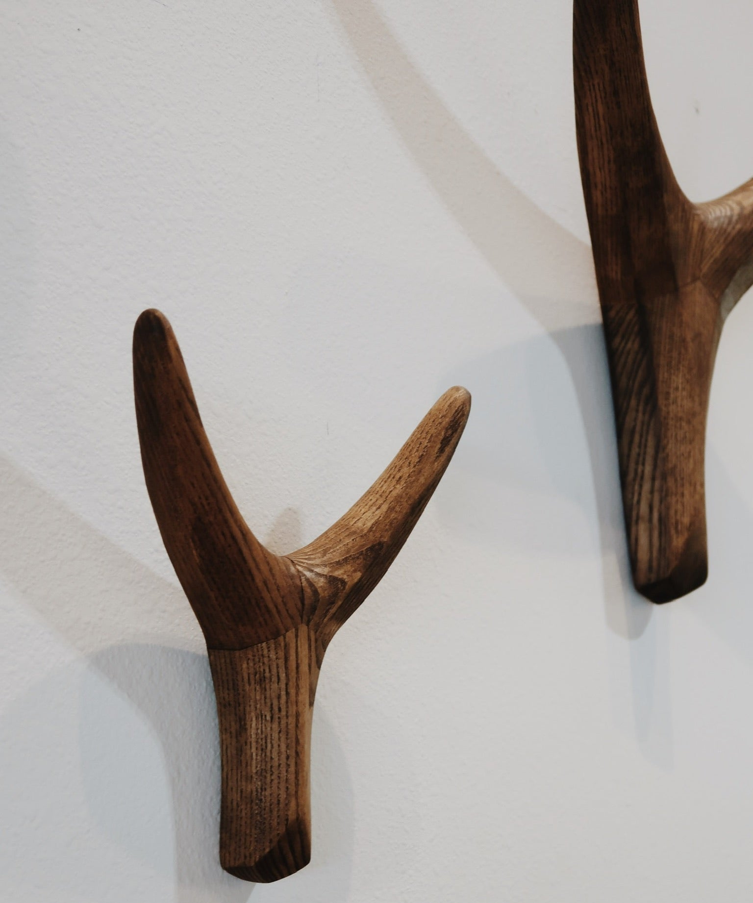 Nguni Head Iroko Wall Decor